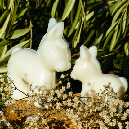 Set of 2 Big Donkey and Little Donkey Soaps with Donkey Milk