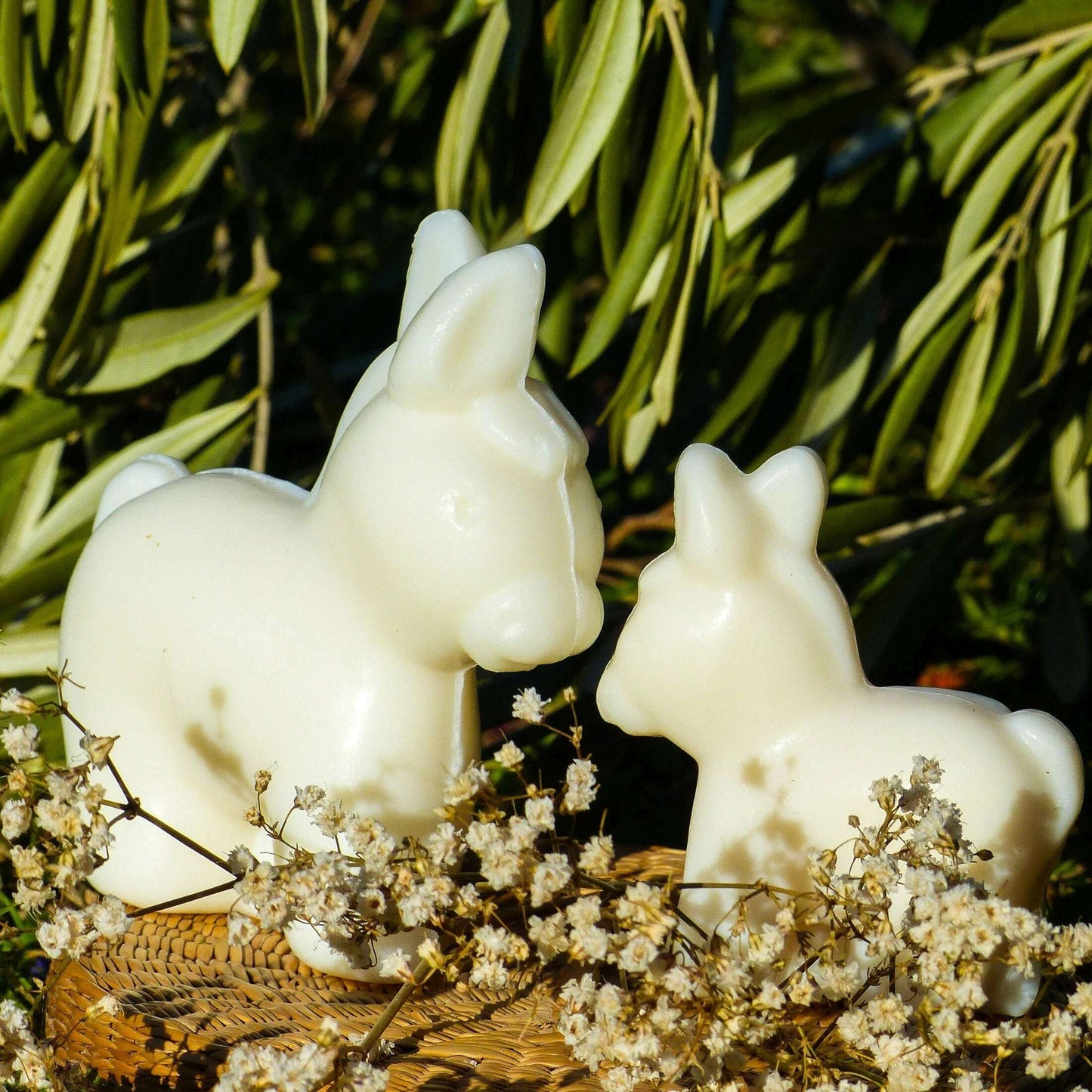 Set of 2 Big Donkey and Little Donkey Soaps with Donkey Milk